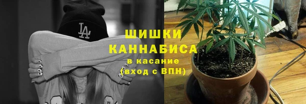 ГАЛЛЮЦИНОГЕННЫЕ ГРИБЫ Алзамай