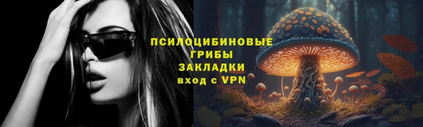 ГАЛЛЮЦИНОГЕННЫЕ ГРИБЫ Алзамай