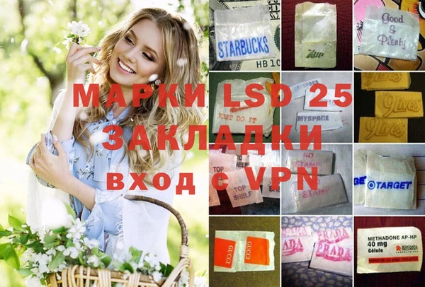 ГАЛЛЮЦИНОГЕННЫЕ ГРИБЫ Алзамай