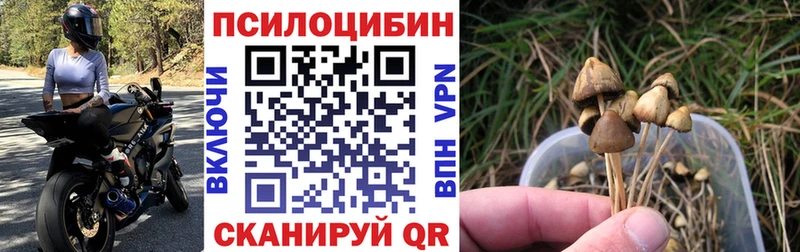 Галлюциногенные грибы GOLDEN TEACHER  где купить   kraken tor  Игарка 